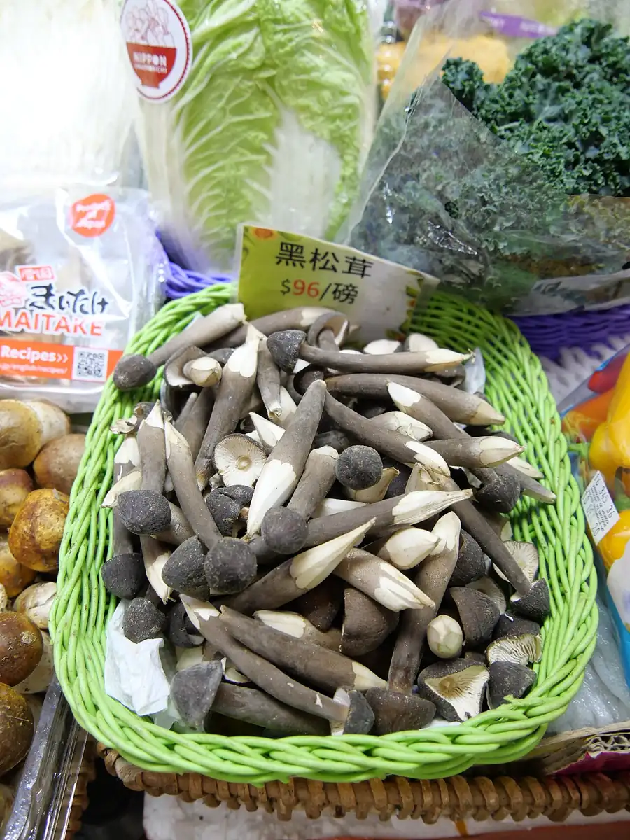 Black termite mushrooms (Oudemansiella raphanipes) with brown caps and long pale stems in a basket