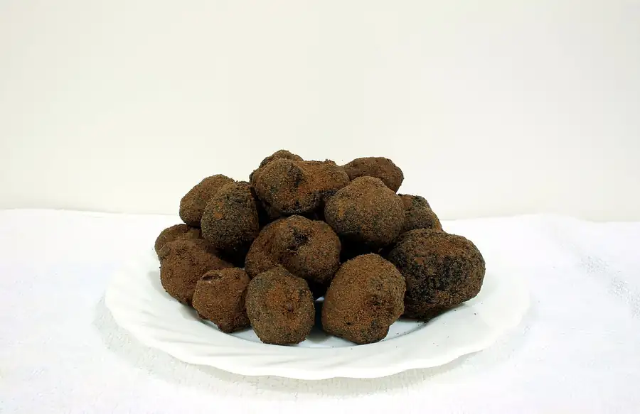Black Périgord truffle (Tuber melanosporum), a dark warty underground fruit body