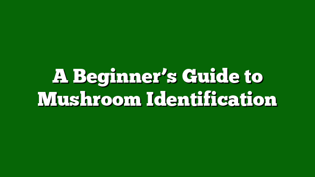 A Beginner’s Guide to Mushroom Identification