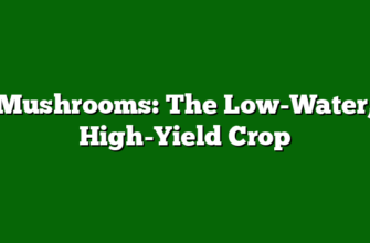 Mushrooms: The Low-Water, High-Yield Crop