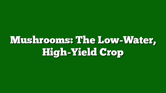 Mushrooms: The Low-Water, High-Yield Crop
